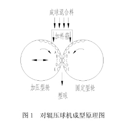 对辊压球机工作原理示意图